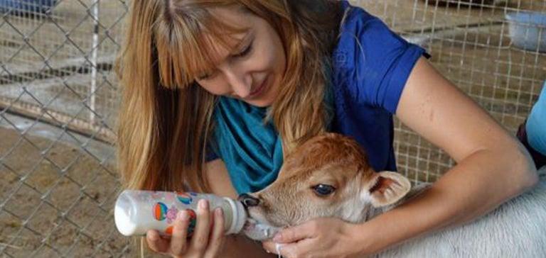 Hayvan Besleme Danışmanlığı Nedir